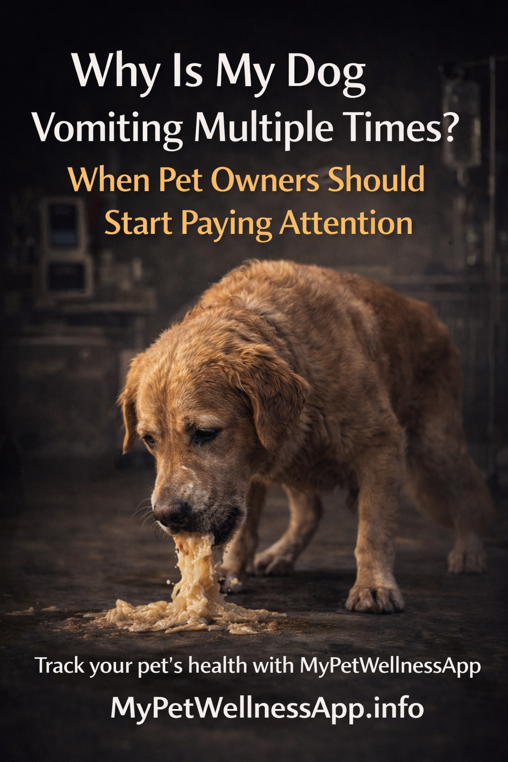 Why Is My Dog Vomiting Multiple Times? When Pet Owners Should Start Paying Attention